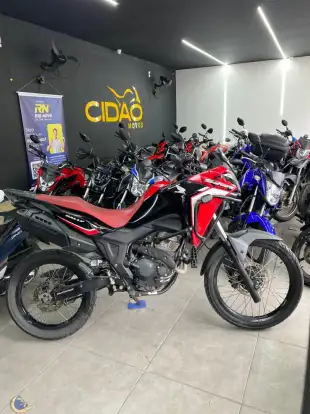 HONDA-XRE 300 SAHARA RALLY-2024