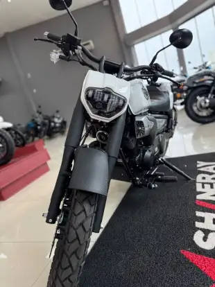 SHINERAY-TITANIUM 250-2025