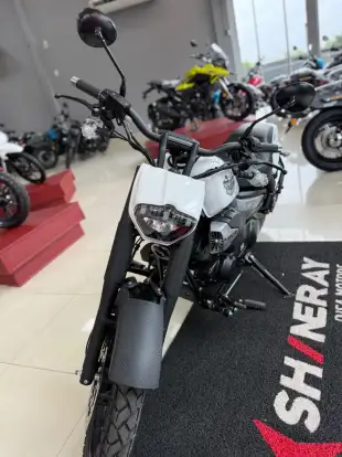 SHINERAY-TITANIUM 250 SHINERAY-TITANIUM 250-2025