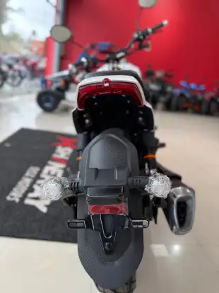 SHINERAY-TITANIUM 250 SHINERAY-TITANIUM 250-2025