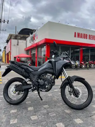 HONDA-XRE 300 SAHARA-2025