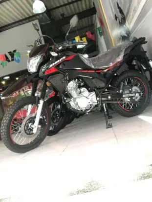 SHINERAY-SHI 175 SHINERAY-SHI 175-2025