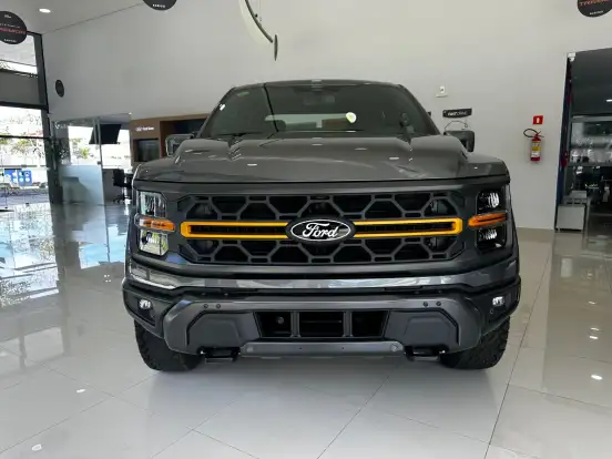 FORD-F-150-5.0 V8 GASOLINA CD TREMOR FX4 AUTOMÁTICO FORD-F-150-2025