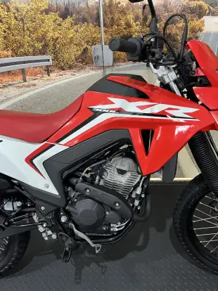 HONDA-XR 300L TORNADO-2024