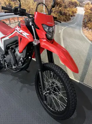 HONDA-XR 300L TORNADO-2024