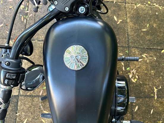 HARLEY-DAVIDSON-SPORTSTER IRON 883 HARLEY-DAVIDSON-SPORTSTER IRON 883-2017