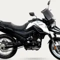 SHINERAY SHI 175 SHINERAY SHI 175