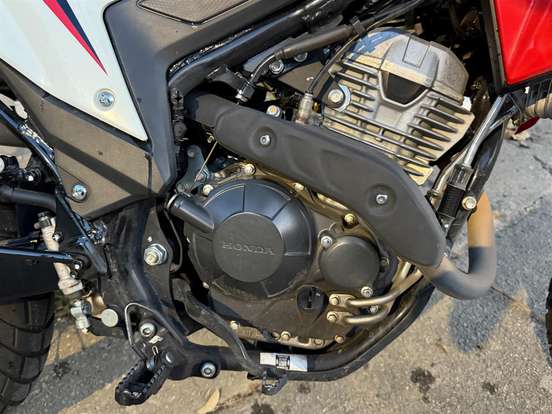 HONDA-XR 300L TORNADO-2025