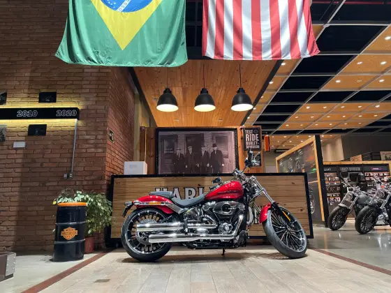 HARLEY-DAVIDSON SOFTAIL BREAKOUT HARLEY-DAVIDSON SOFTAIL BREAKOUT