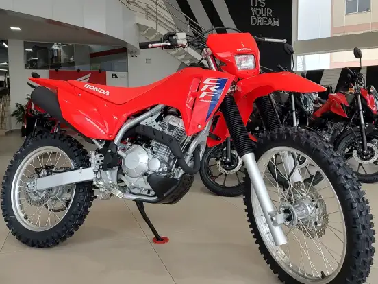 HONDA-CRF 300F HONDA-CRF 300F-2025