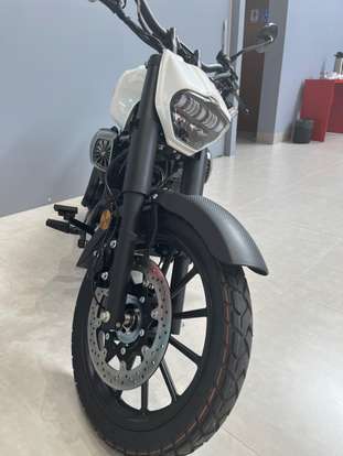 SHINERAY-TITANIUM 250-2025