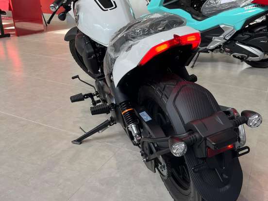 SHINERAY-TITANIUM 250 SHINERAY-TITANIUM 250-2025