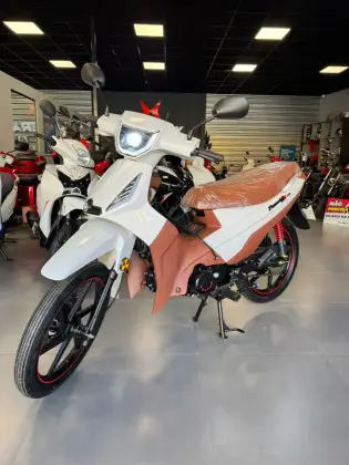 SHINERAY PHOENIX S 50 