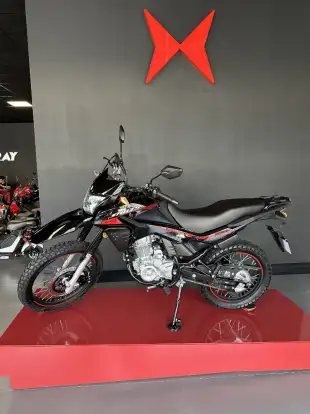 SHINERAY-SHI 175S EFI-2025