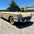 FORD THUNDERBIRD 3.9 V8 16V GASOLINA 2P AUTOMÁTICO FORD THUNDERBIRD 3.9 V8 16V GASOLINA 2P AUTOMÁTICO
