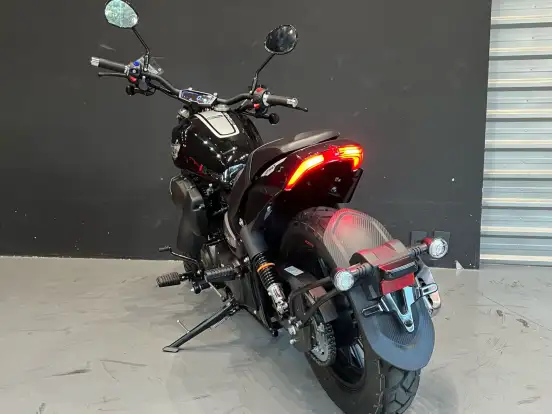 SHINERAY-TITANIUM 250 SHINERAY-TITANIUM 250-2025