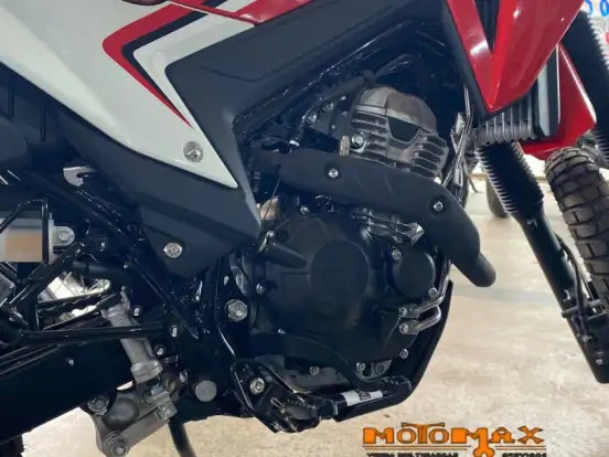 HONDA-XR 300L TORNADO HONDA-XR 300L TORNADO-2025