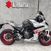 SUZUKI GSX-8R SUZUKI GSX-8R