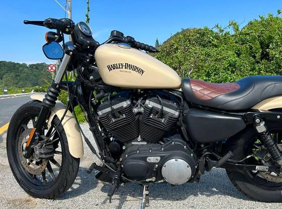 HARLEY-DAVIDSON SPORTSTER XL 883N IRON 