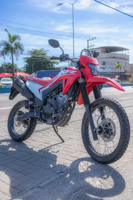 HONDA-XR 300L TORNADO-2025