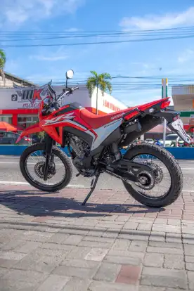 HONDA-XR 300L TORNADO-2025
