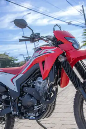 HONDA-XR 300L TORNADO-2025