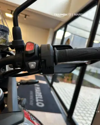 TRIUMPH-TIGER 900 RALLY PRO-2025