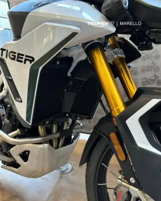 TRIUMPH-TIGER 900 RALLY PRO-2025