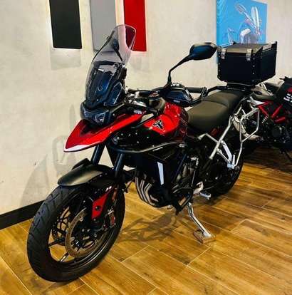 TRIUMPH-TIGER 900 GT PRO-2024