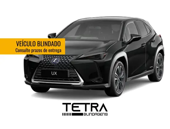 LEXUS UX 300h 2.0 VVT-I HYBRID CVT