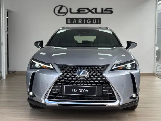 LEXUS UX 300h 2.0 VVT-I HYBRID CVT