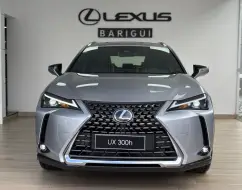 LEXUS UX 300h 2.0 VVT-I HYBRID CVT LEXUS UX 300h 2.0 VVT-I HYBRID CVT