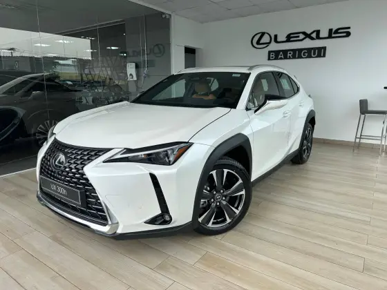 LEXUS UX 300h 2.0 VVT-I HYBRID CVT LEXUS UX 300h 2.0 VVT-I HYBRID CVT