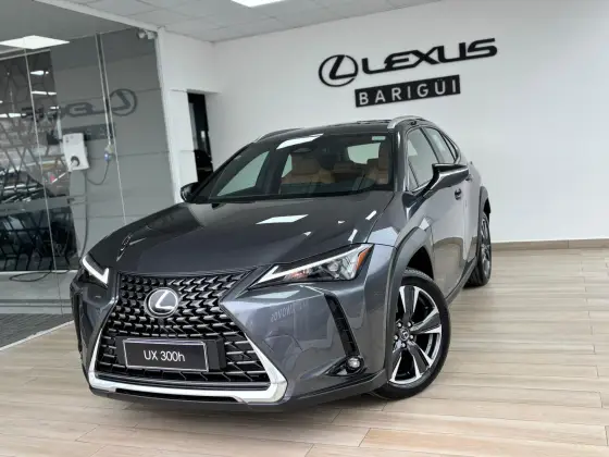 LEXUS UX 300h 2.0 VVT-I HYBRID CVT