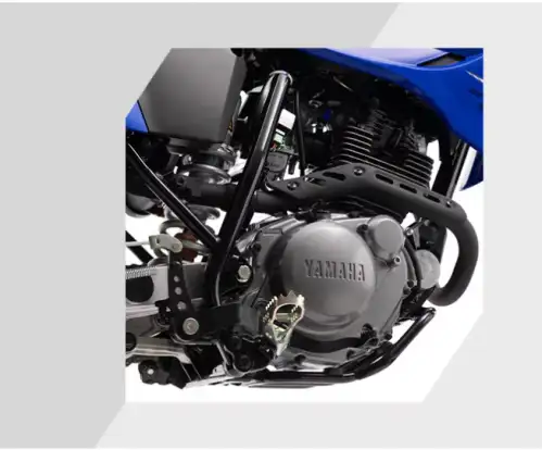 YAMAHA-TT-R 230-2025
