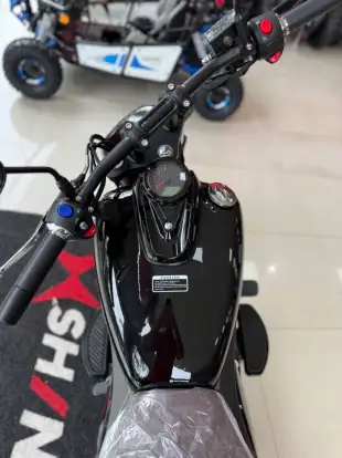 SHINERAY-IRON 250-2025