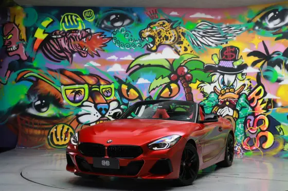 BMW Z4 2.0 TWINPOWER GASOLINA SDRIVE30i M SPORT STEPTRONIC