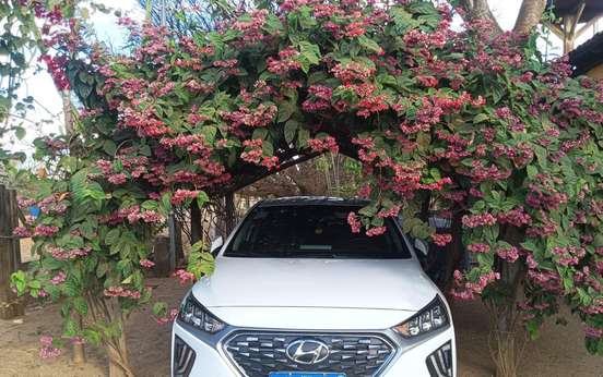 HYUNDAI-IONIQ-2022