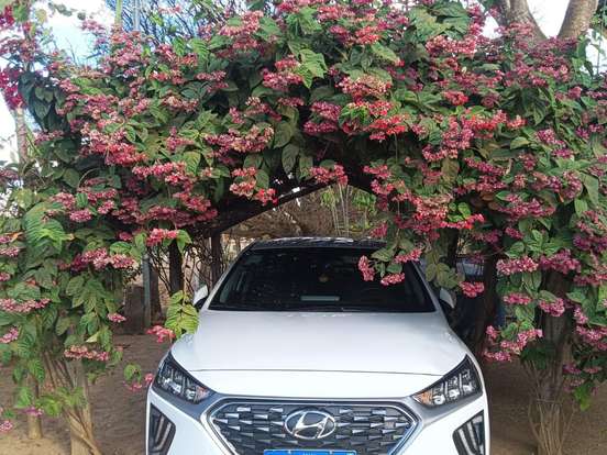 HYUNDAI-IONIQ-1.6 GDI HEV DCT HYUNDAI-IONIQ-2022