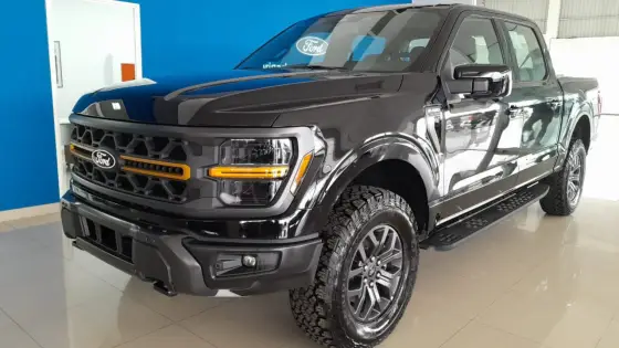 FORD F-150 5.0 V8 GASOLINA CD TREMOR FX4 AUTOMÁTICO