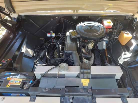 CHEVROLET-C10-1981