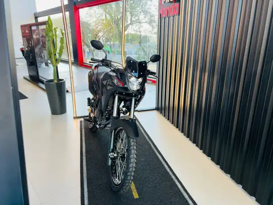 HONDA-XRE 300 SAHARA-2025
