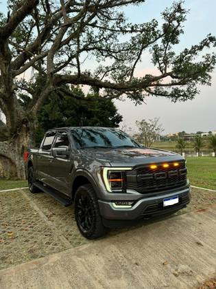 FORD F-150 5.0 V8 GASOLINA CD PLATINUM FX4 AUTOMÁTICO