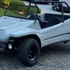 EMIS BUGGY GASOLINA MANUAL EMIS BUGGY GASOLINA MANUAL