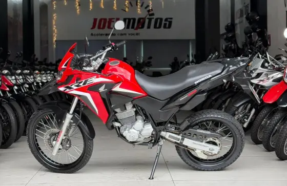 HONDA XRE 300 RALLY HONDA XRE 300 RALLY