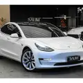 TESLA MODEL 3 ELÉTRICO AWD PERFORMANCE TESLA MODEL 3 ELÉTRICO AWD PERFORMANCE