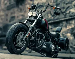 HARLEY-DAVIDSON DYNA FAT BOB HARLEY-DAVIDSON DYNA FAT BOB