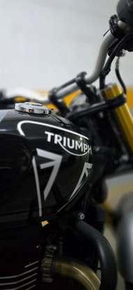 TRIUMPH-SPEED 400-2024