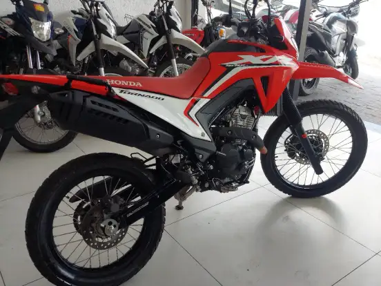 HONDA-XR 300L TORNADO HONDA-XR 300L TORNADO-2024