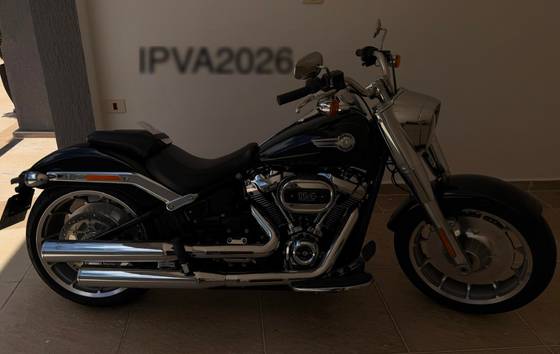 HARLEY-DAVIDSON SOFTAIL FAT BOY 114 